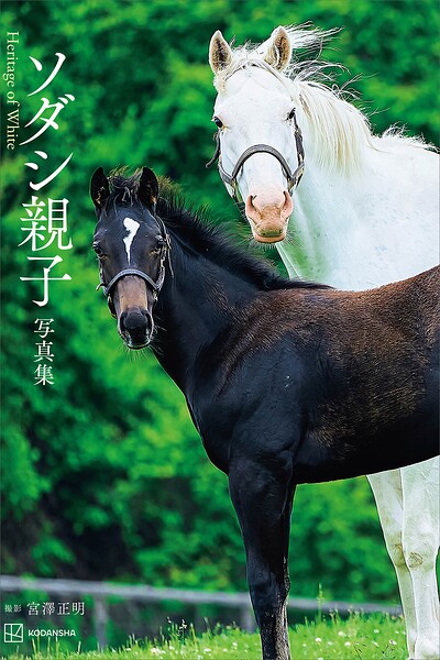 動物・ペット
