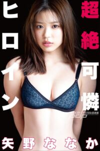 【b600zsgk47019】矢野ななか 超絶可憐ヒロイン