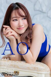 【s917atrlv00081】1038 京あお 01