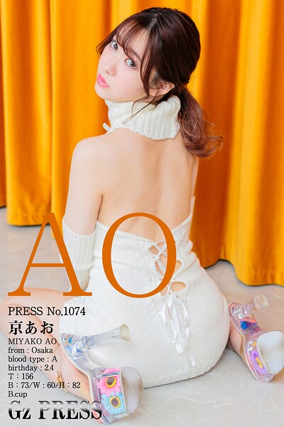 【s917atrlv00117】1074 京あお 07