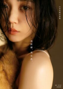 【b000fhftx06280】山谷花純写真集 遠距離、現在此。