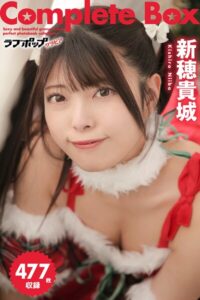【s335asnph02106】477枚収録 新穂貴城 Complete Box