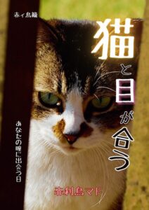安部さゆり